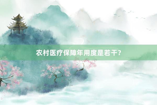 农村医疗保障年用度是若干？