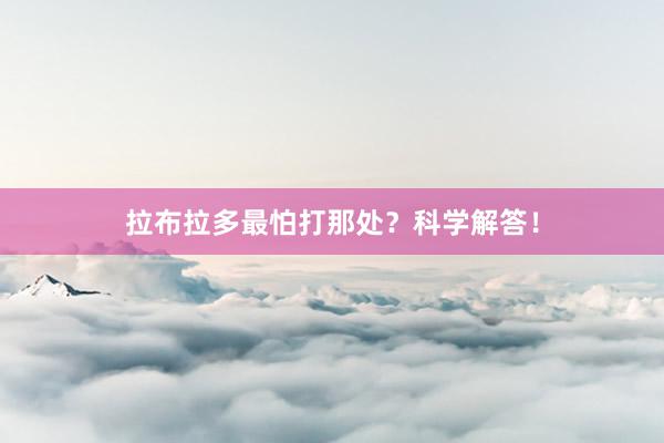 拉布拉多最怕打那处？科学解答！